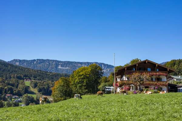 Bild aus der Galerie