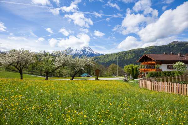 Bild aus der Galerie