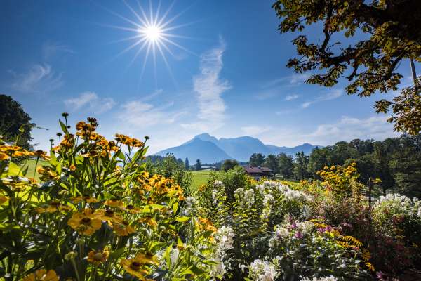 Bild aus der Galerie