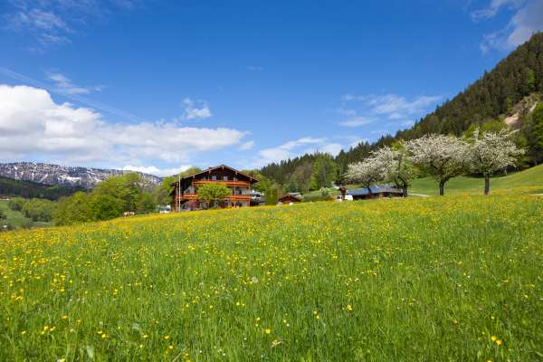 Bild aus der Galerie