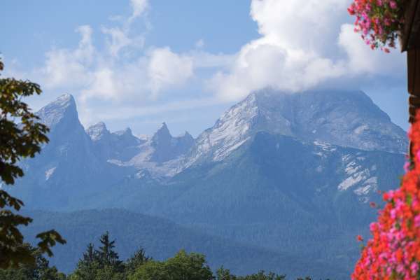 Bild aus der Galerie