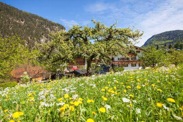 Bild aus der Galerie