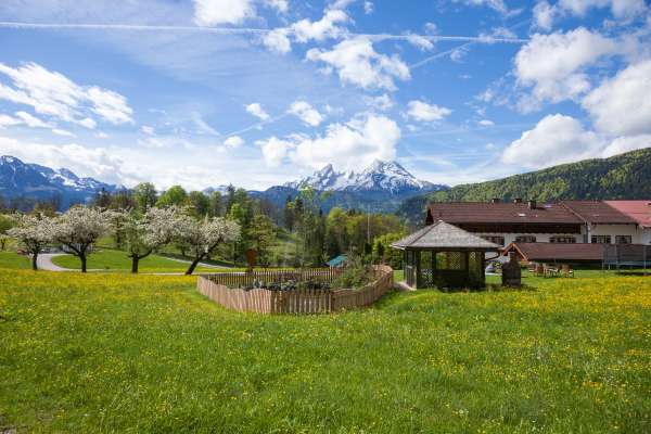 Bild aus der Galerie