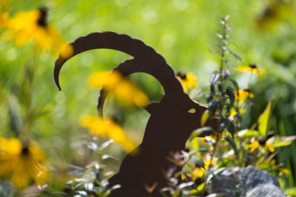 Bild aus der Galerie