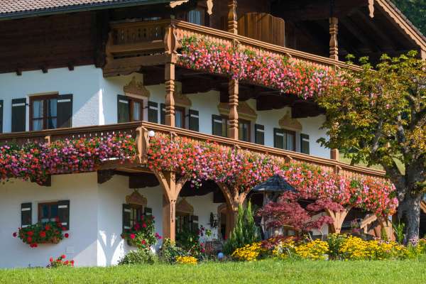 Bild aus der Galerie