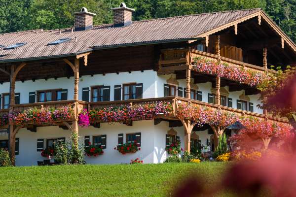 Bild aus der Galerie