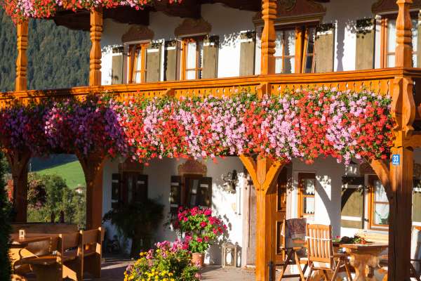 Bild aus der Galerie