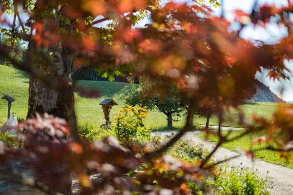 Bild aus der Galerie