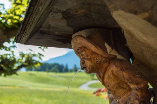 Bild aus der Galerie