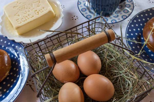 Bild aus der Galerie