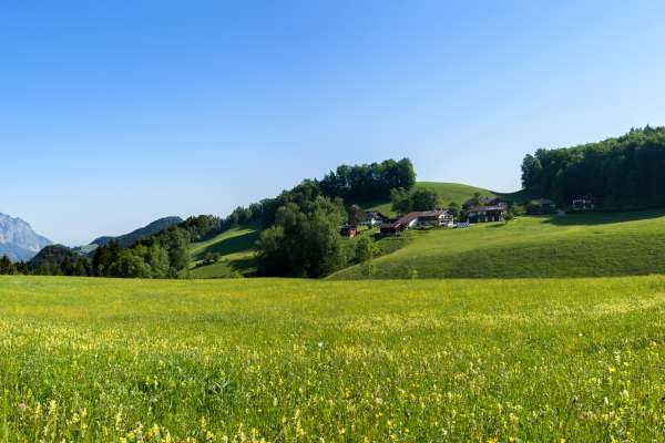 Bild aus der Galerie