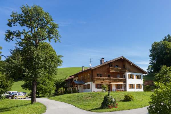 Bild aus der Galerie