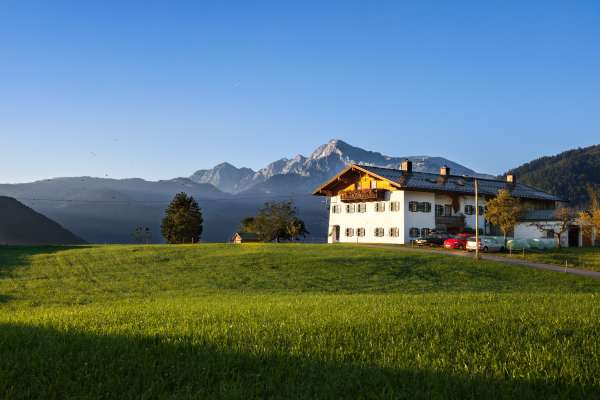 Bild aus der Galerie