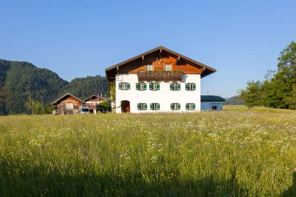 Bild aus der Galerie