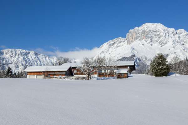 Bild aus der Galerie