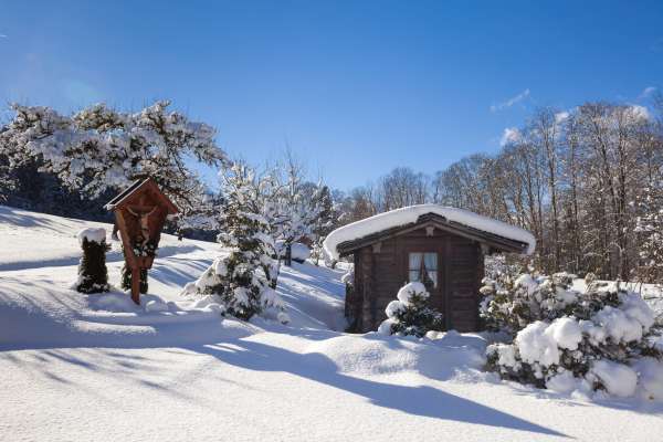 Bild aus der Galerie