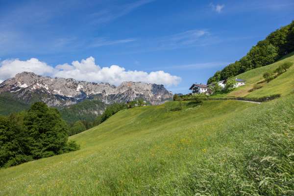 Bild aus der Galerie