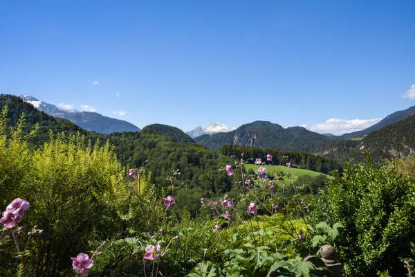 Bild aus der Galerie