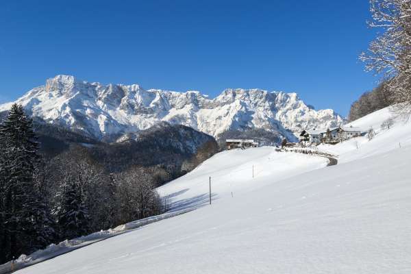 Bild aus der Galerie