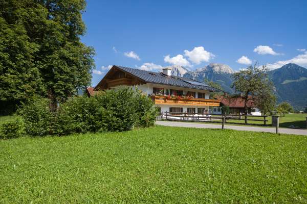 Bild aus der Galerie