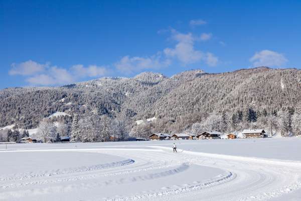 Bild aus der Galerie