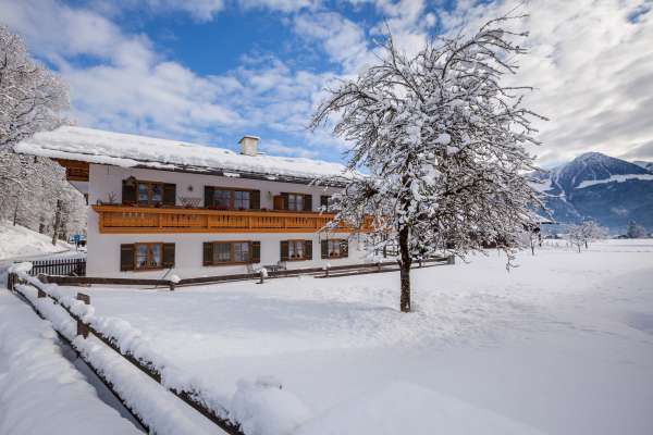 Bild aus der Galerie