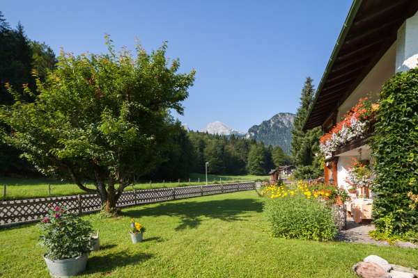 Bild aus der Galerie