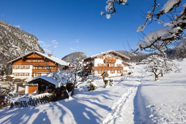 Bild aus der Galerie