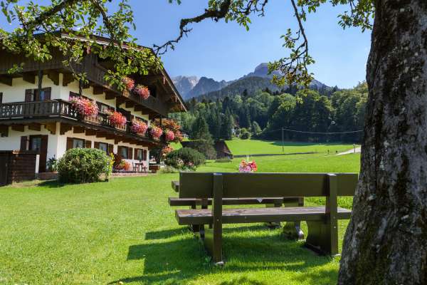 Bild aus der Galerie