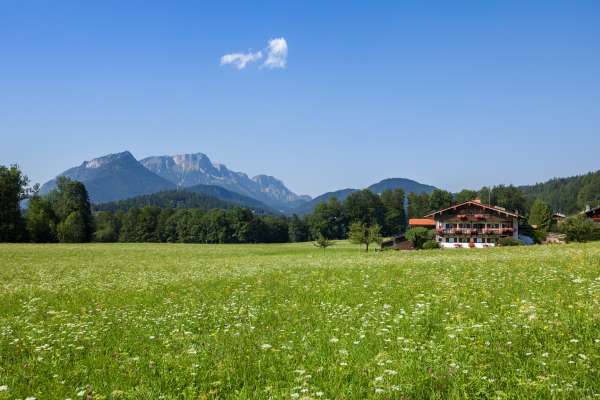 Bild aus der Galerie