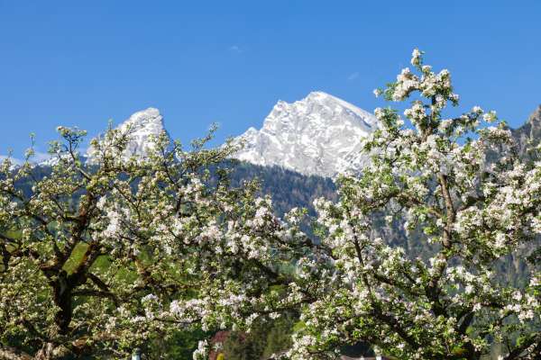 Bild aus der Galerie