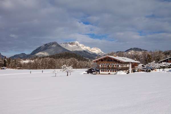 Bild aus der Galerie