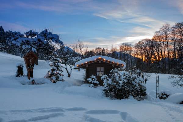 Bild aus der Galerie