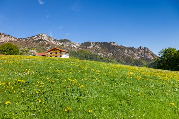 Bild aus der Galerie