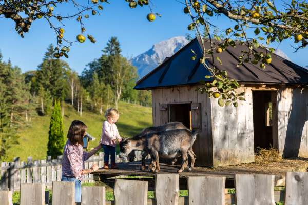 Bild aus der Galerie