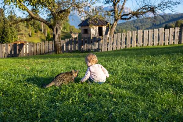 Bild aus der Galerie