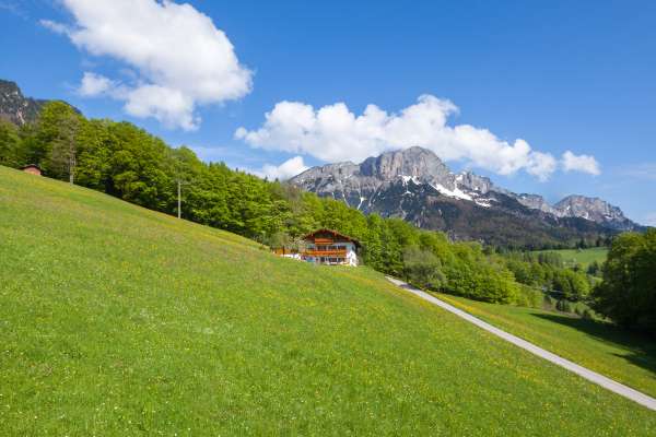 Bild aus der Galerie