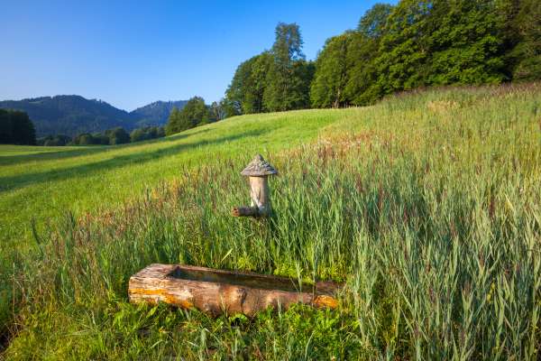 Bild aus der Galerie