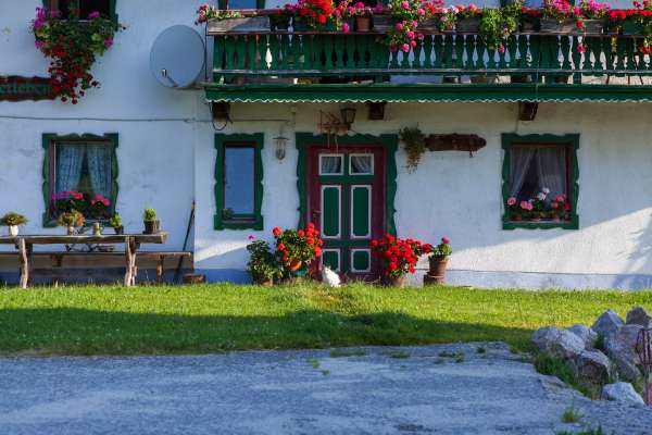 Bild aus der Galerie