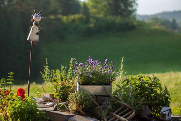 Bild aus der Galerie