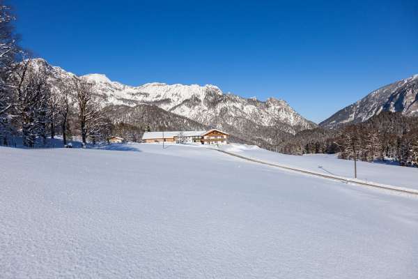 Bild aus der Galerie