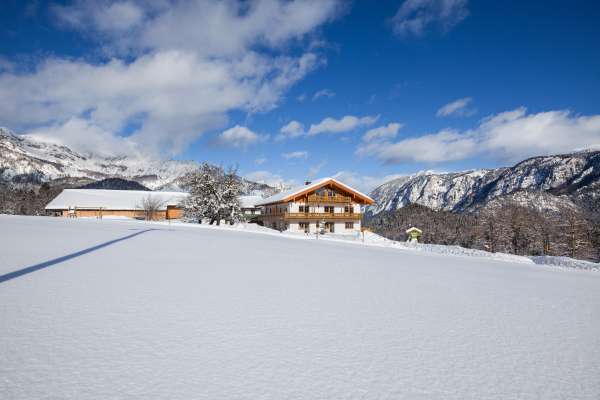 Bild aus der Galerie