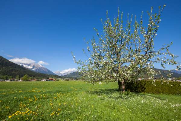 Bild aus der Galerie