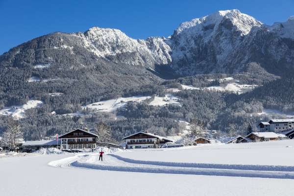 Bild aus der Galerie