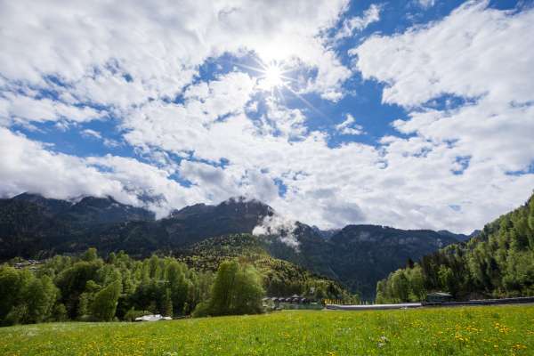 Bild aus der Galerie