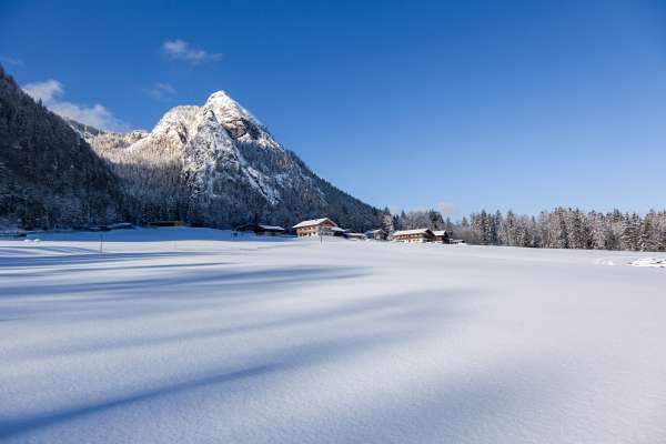 Bild aus der Galerie