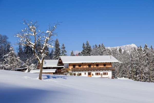 Bild aus der Galerie