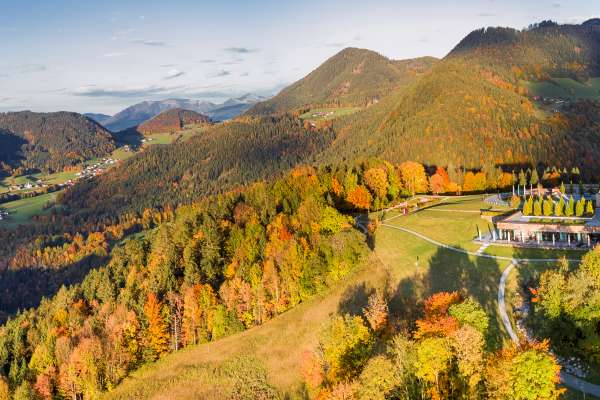 Bild aus der Galerie