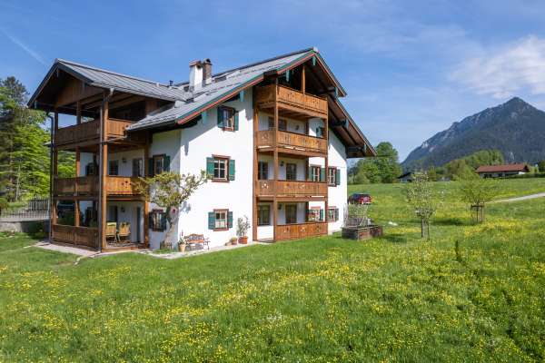 Bild aus der Galerie