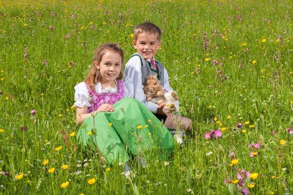 Bild aus der Galerie